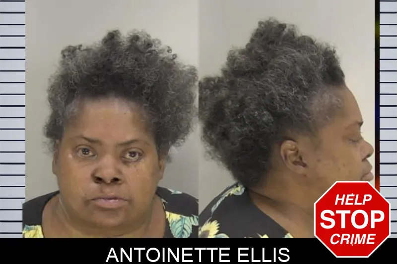 Antoinette Ellis Mugshots