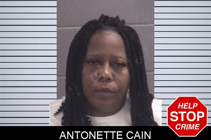 Antonette Cain Mugshots