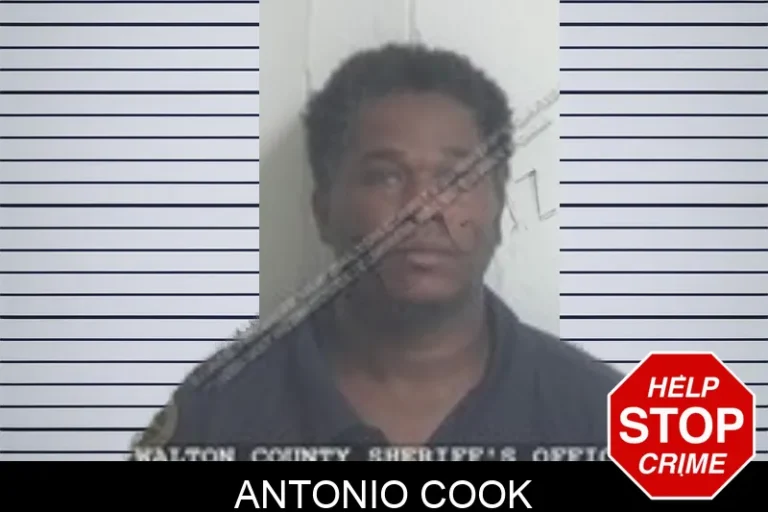 Antonio Cook