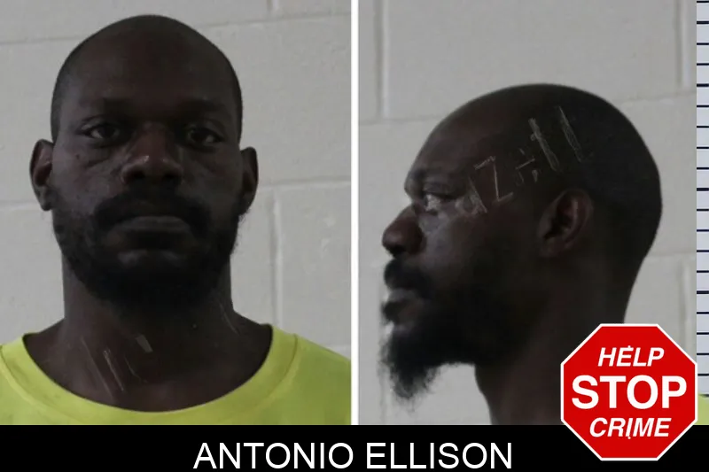 Antonio Ellison mugshot – Houston County , Georgia Antonio Ellison mugshot