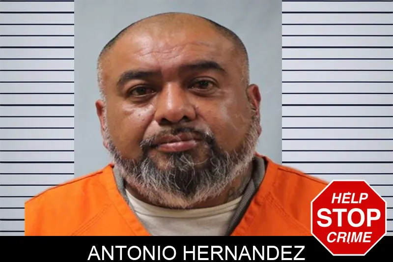 Antonio Hernandez Mugshots