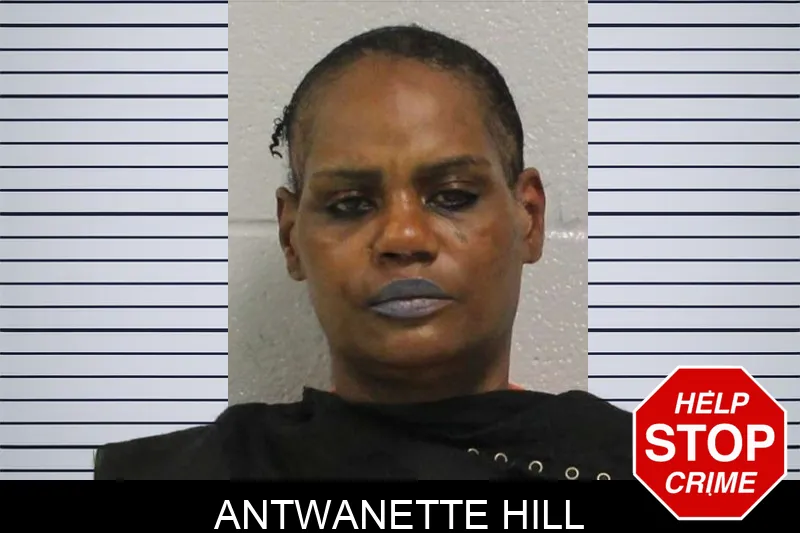 Antwanette Hill mugshot – Carroll County , Georgia Antwanette Hill mugshot