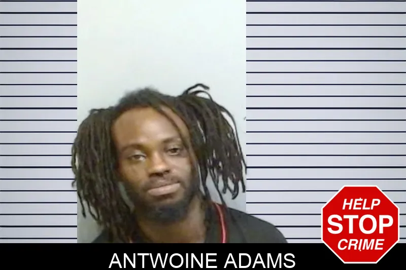 Antwoine Adams