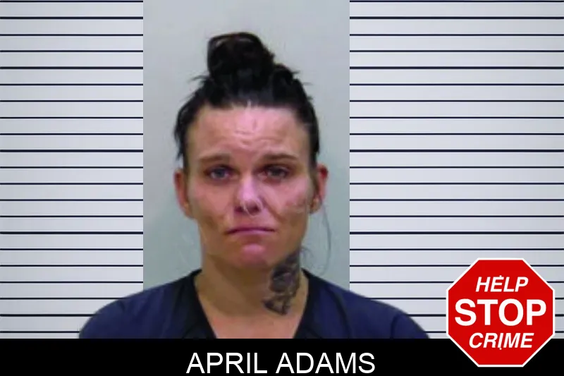April Adams Mugshots