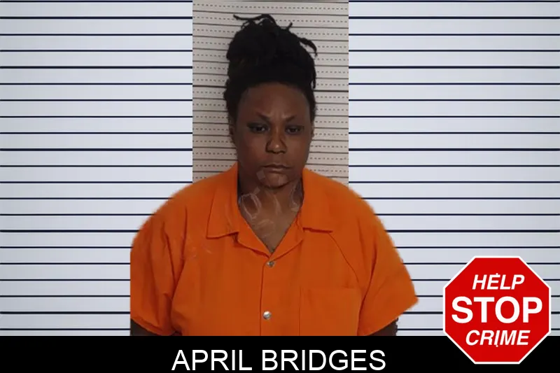 April Bridges Mugshots