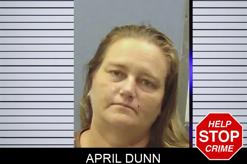 April Dunn Mugshots