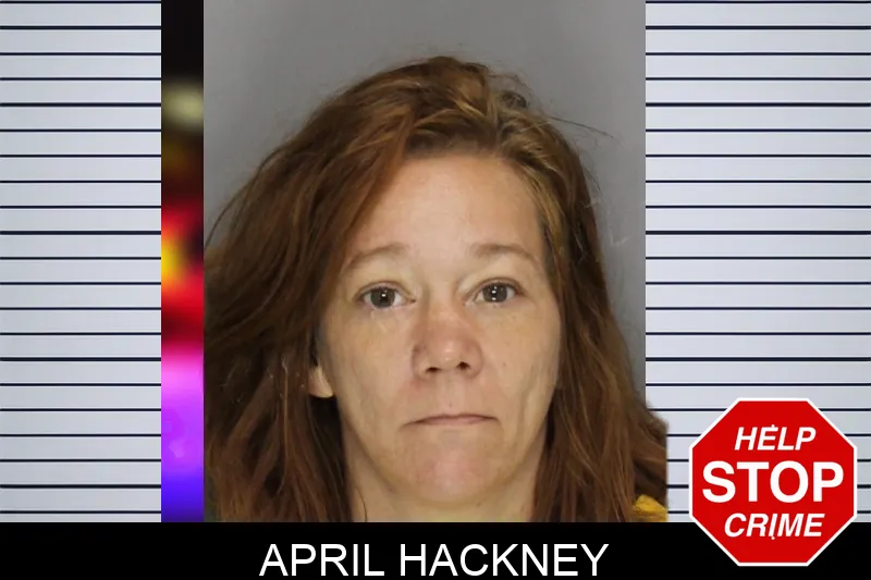 April Hackney mugshot – Cobb County , Georgia April Hackney mugshot