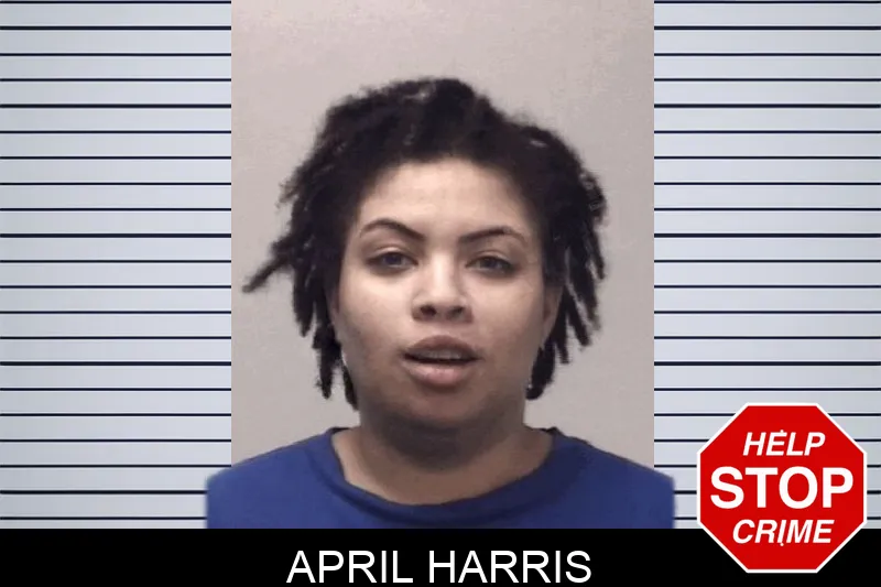 April Harris mugshot