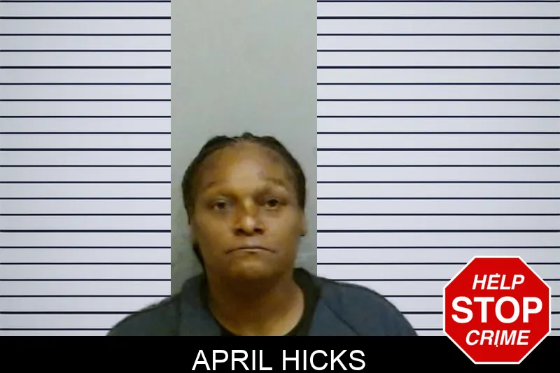 April Hicks mugshot