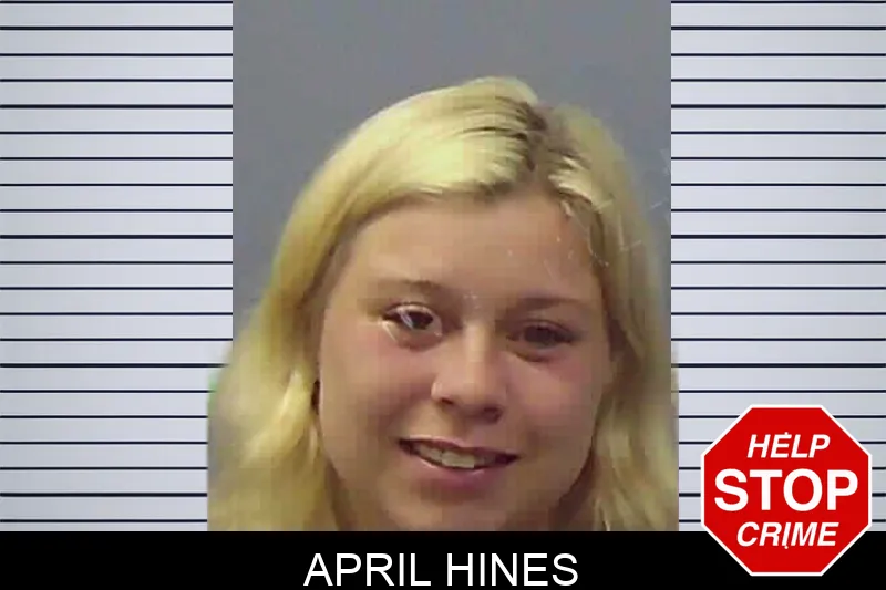 April Hines Mugshots