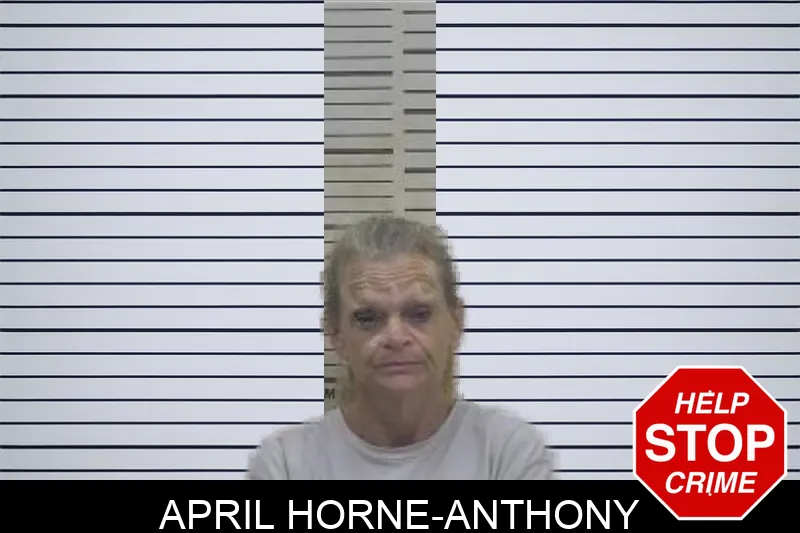 April Horne-Anthony mugshot