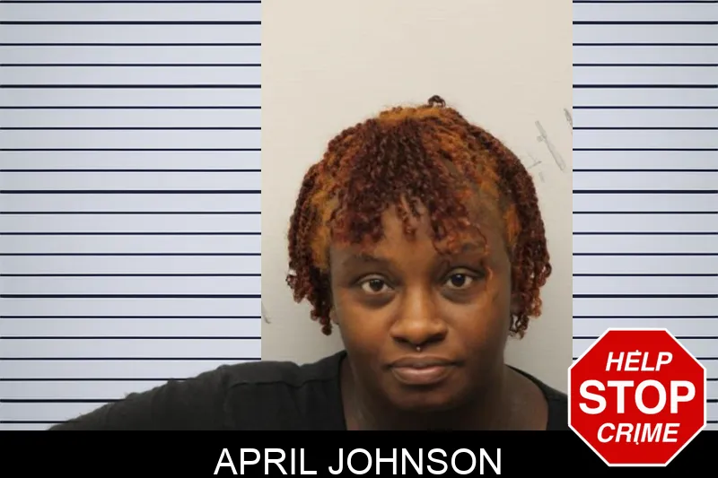 April Johnson Mugshots
