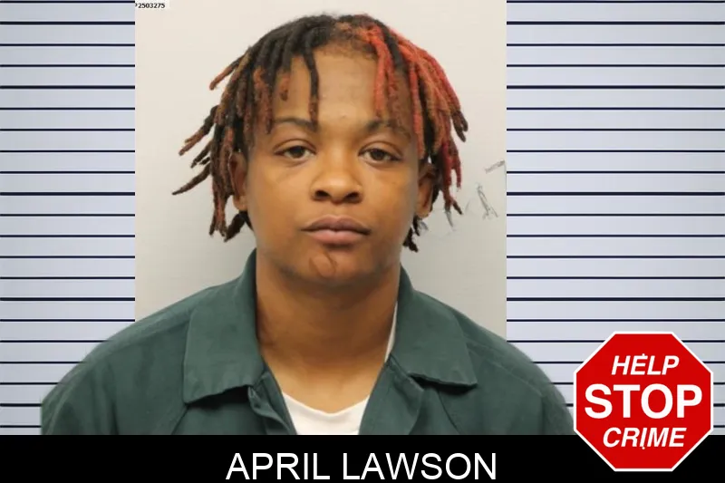April Lawson Mugshots