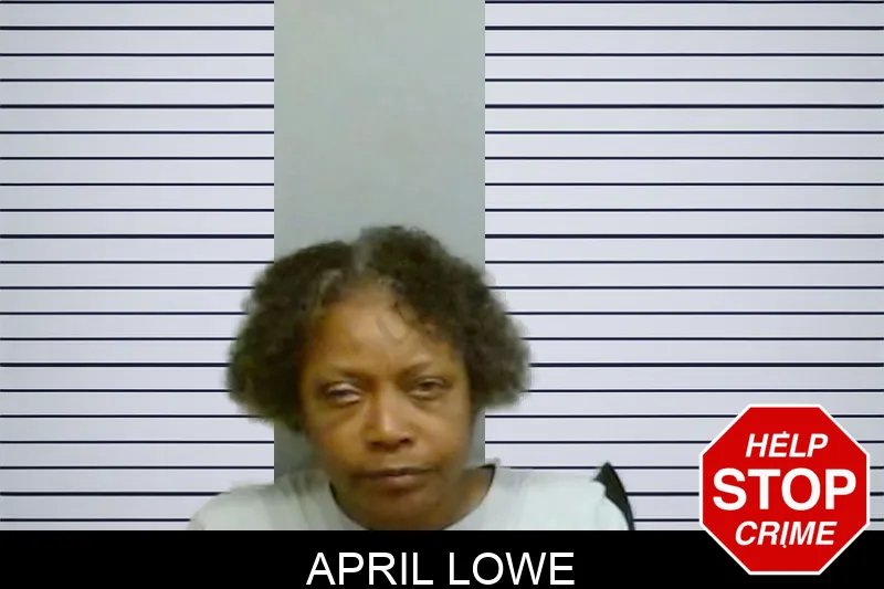 April Lowe Mugshots
