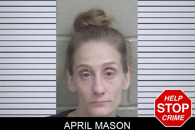 April Mason Mugshots