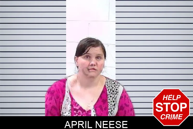 April Neese mugshot – Fulton County , Georgia April Neese mugshot
