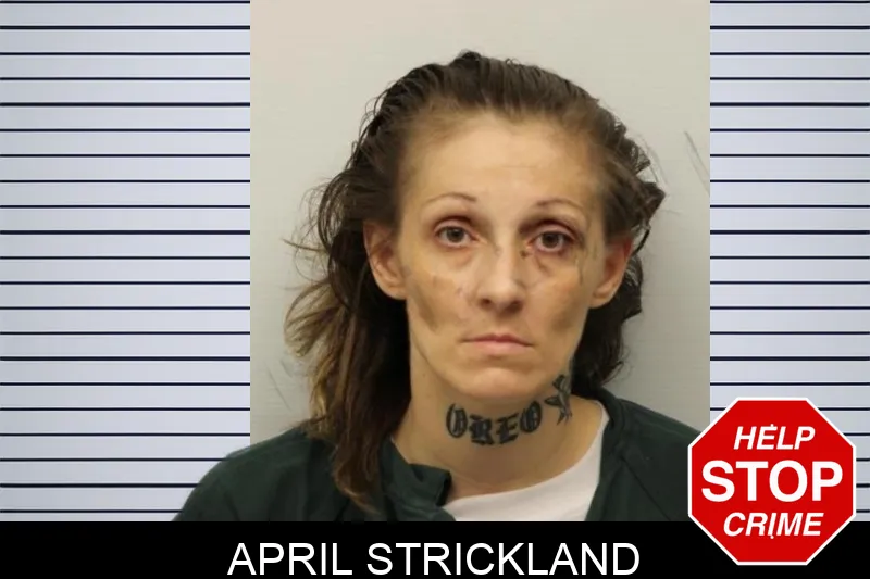April Strickland Mugshots