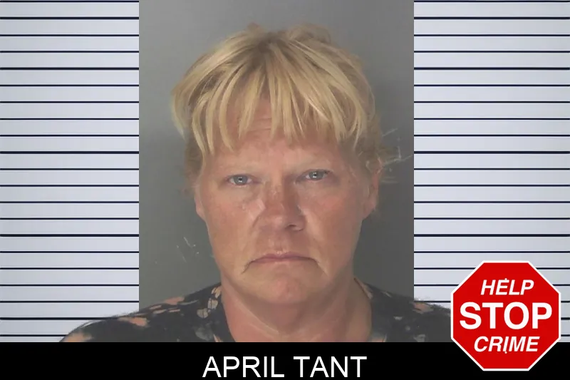 April Tant Mugshots