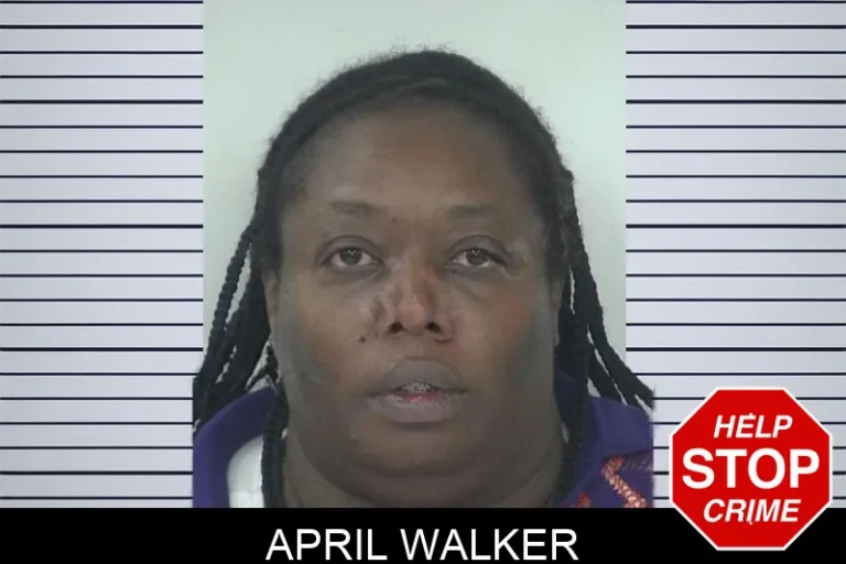 April Walker mugshot – Fayette County , Georgia April Walker