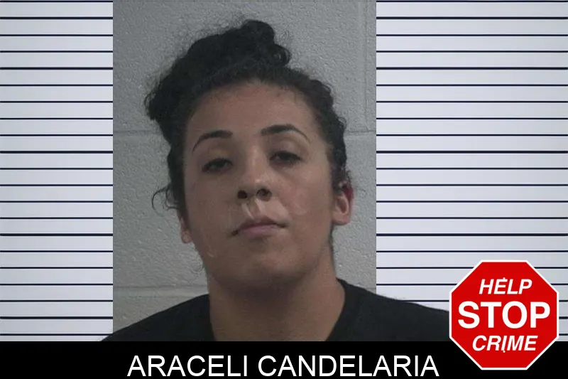 Araceli Candelaria mugshot – McDuffie County , Georgia Araceli Candelaria mugshot