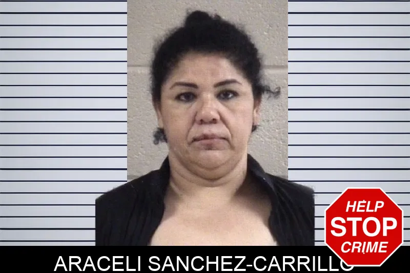 Araceli Sanchez-Carrillo Mugshots
