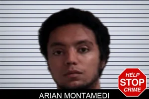 Arian Montamedi mugshot