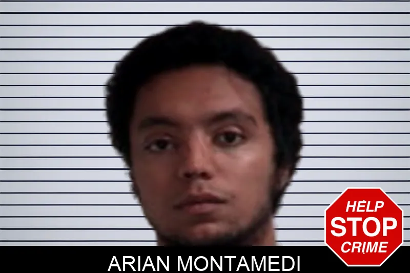Arian Montamedi Mugshots