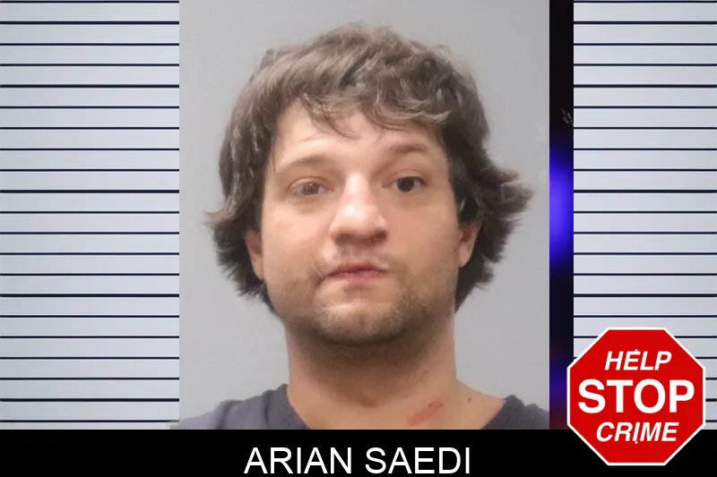 Arian Saedi Mugshots