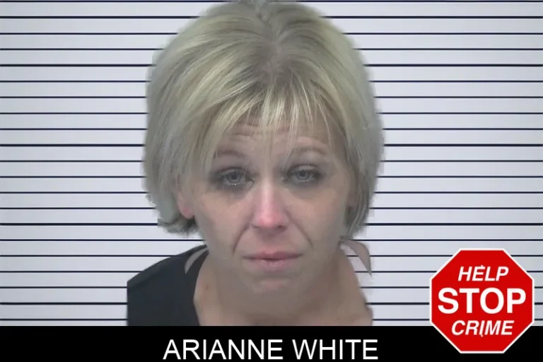 Arianne White mugshot – Gwinnett County , Georgia Arianne White
