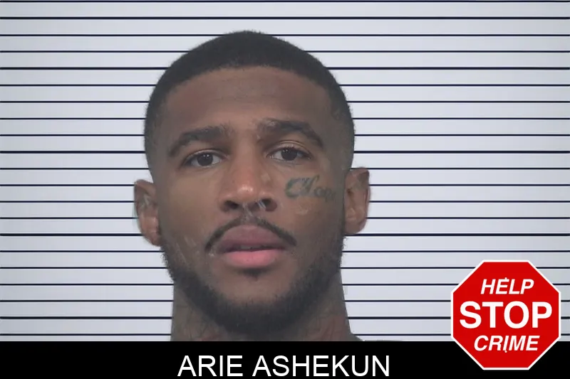 Arie Ashekun Mugshots
