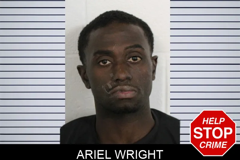 Ariel Wright Mugshots