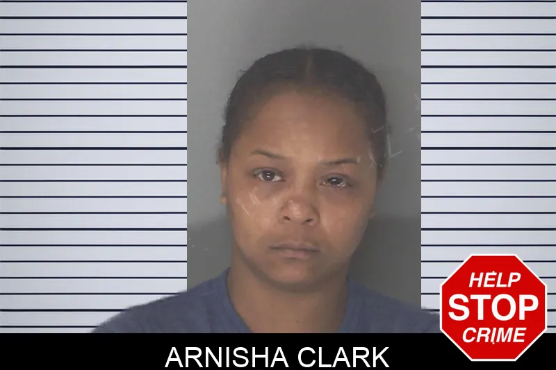 Arnisha Clark mugshot – Douglas County , Georgia Arnisha Clark mugshot