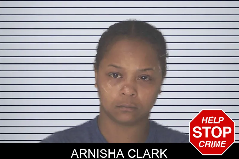 Arnisha Clark Mugshots