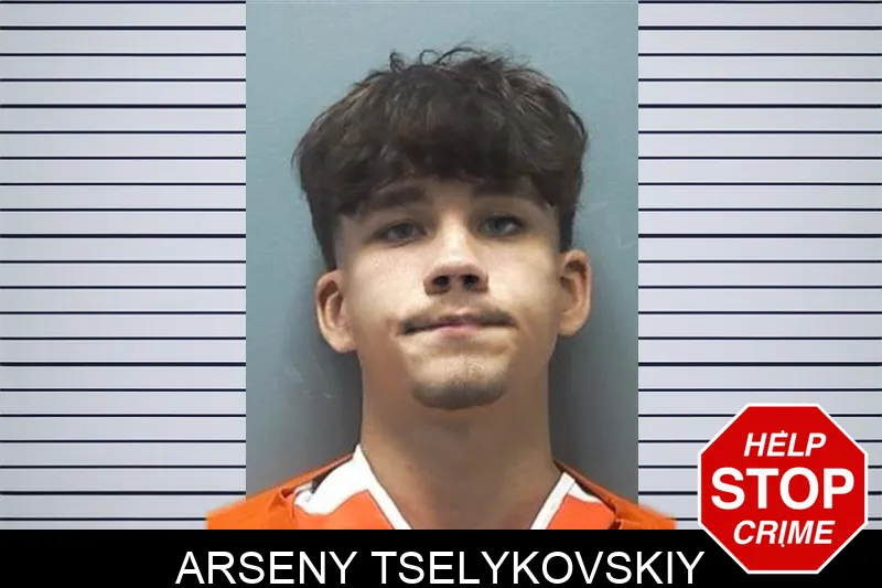 Arseny Tselykovskiy Mugshots