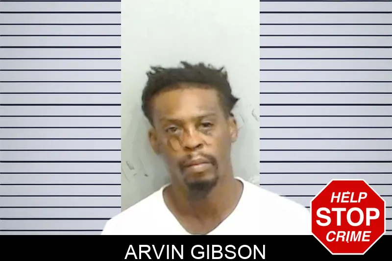 Arvin Gibson mugshot