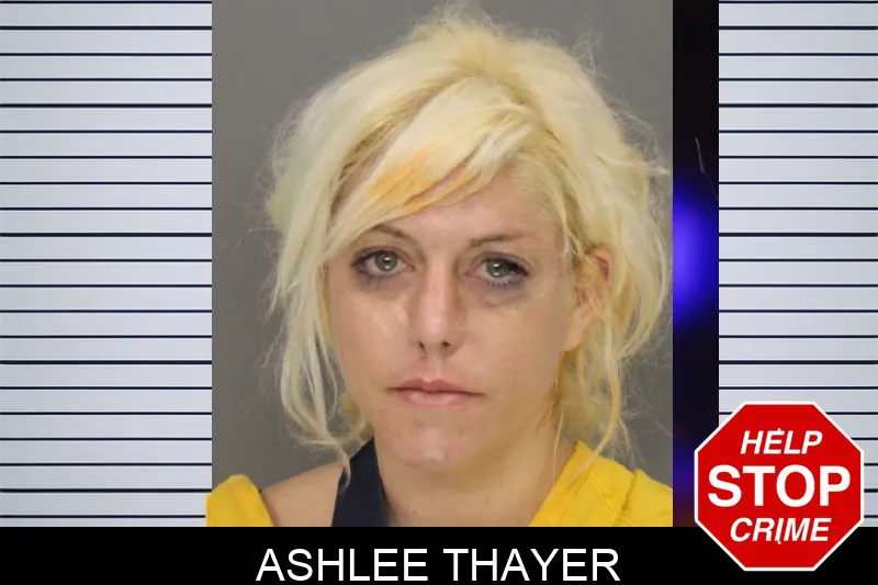 Ashlee Thayer Mugshots