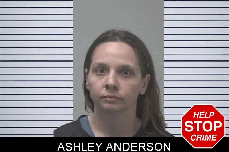 Ashley Anderson Mugshots