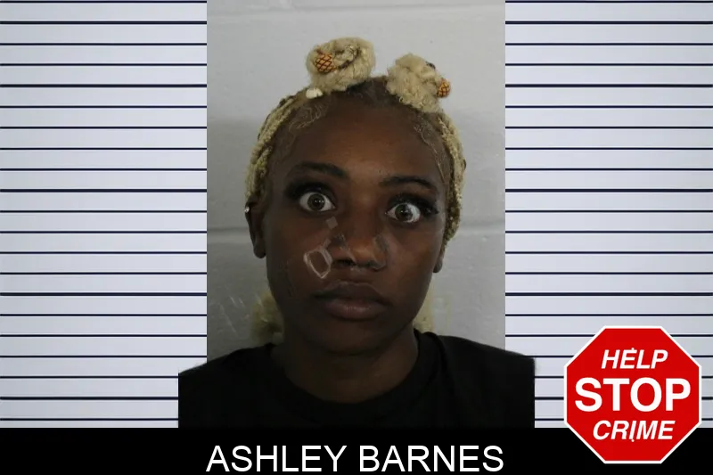 Ashley Barnes Mugshots