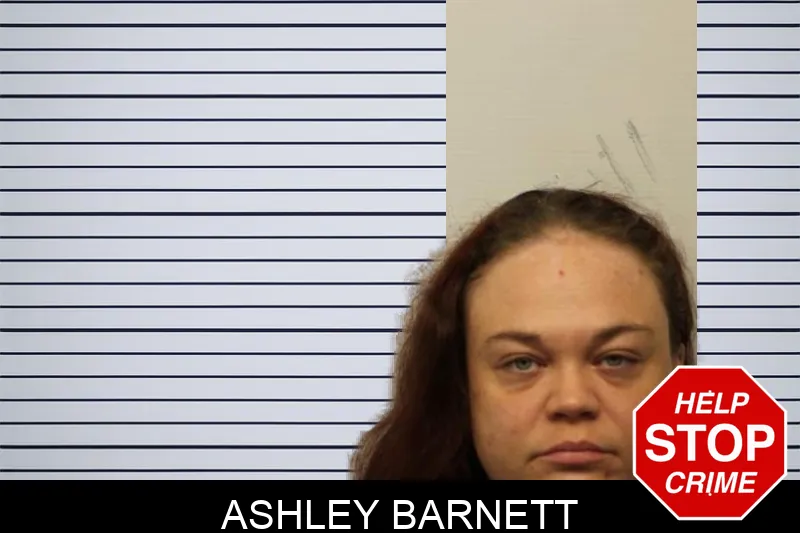 Ashley Barnett Mugshots