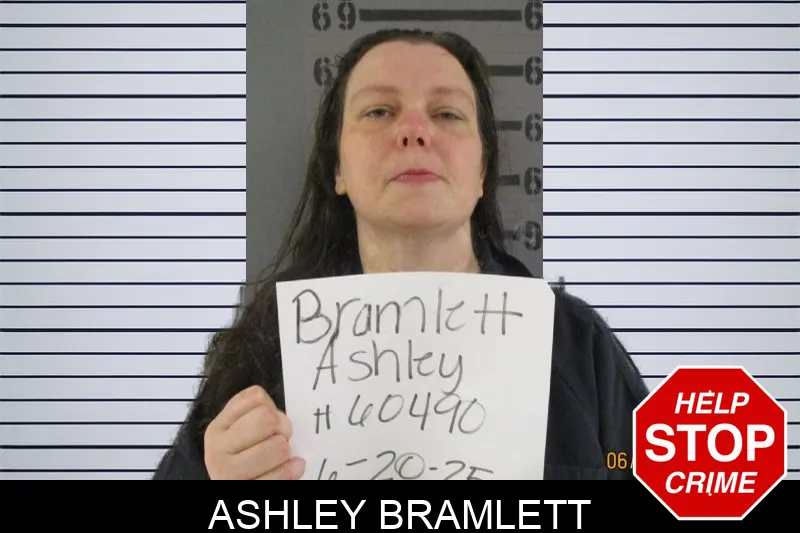 Ashley Bramlett Mugshots