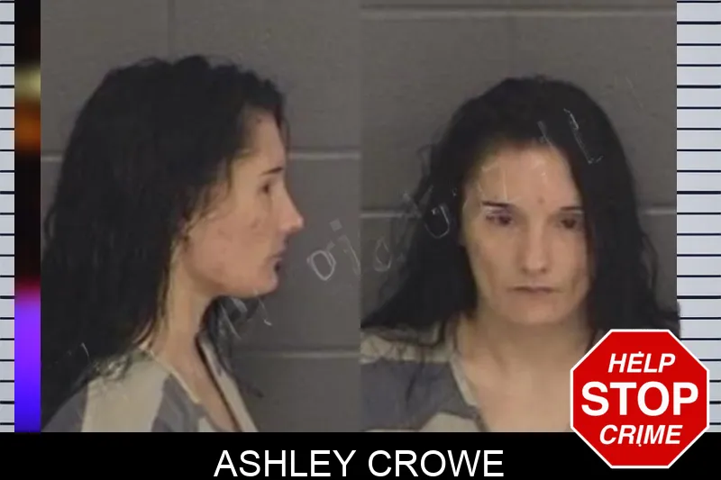 Ashley Crowe Mugshots