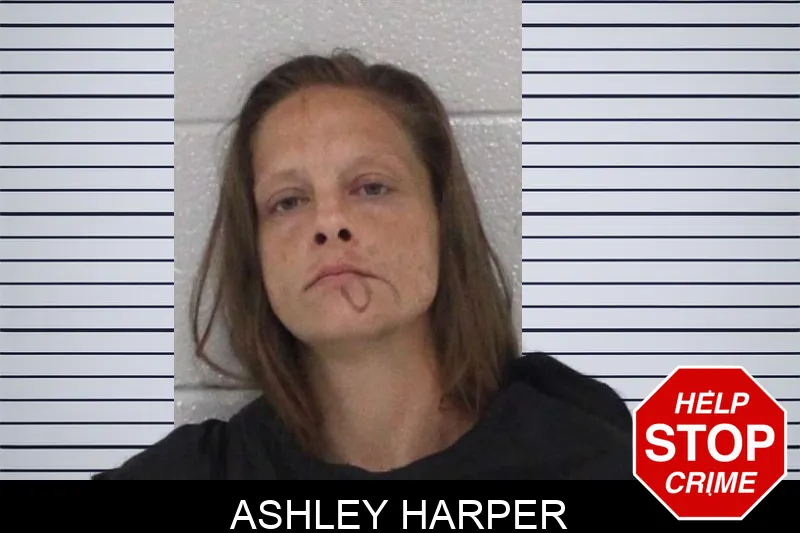 Ashley Harper mugshot