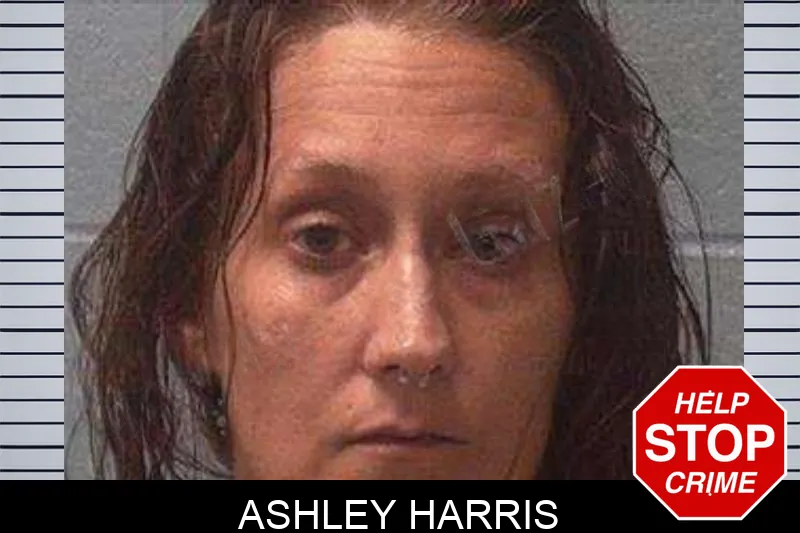 Ashley Harris Mugshots