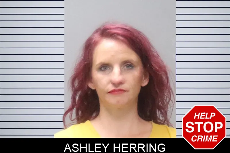Ashley Herring Mugshots