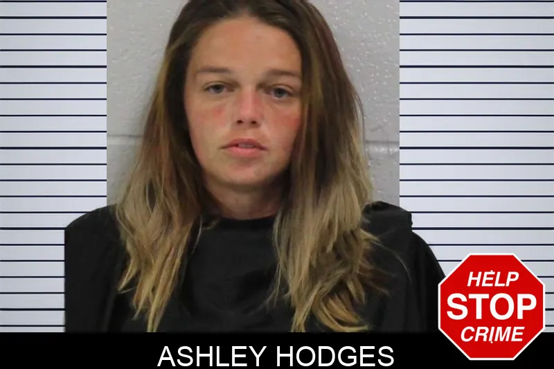 Ashley Hodges mugshot – Carroll County , Georgia Ashley Hodges mugshot