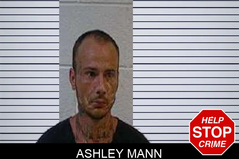 Ashley Mann Mugshots