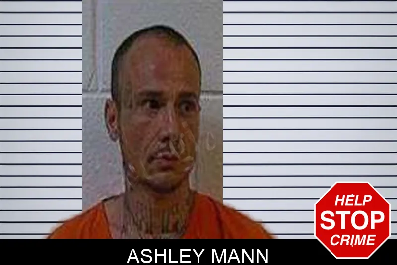 Ashley Mann Mugshots