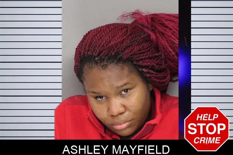 Ashley Mayfield mugshot – Cobb County , Georgia Ashley Mayfield mugshot