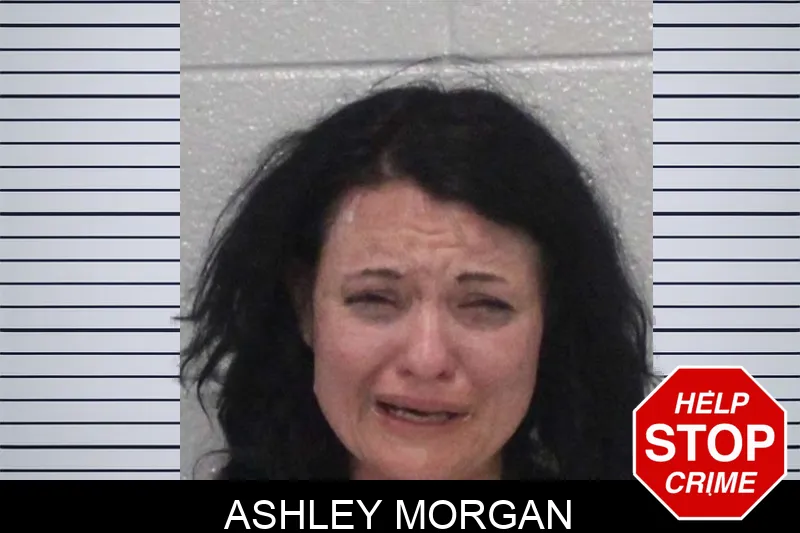 Ashley Morgan mugshot