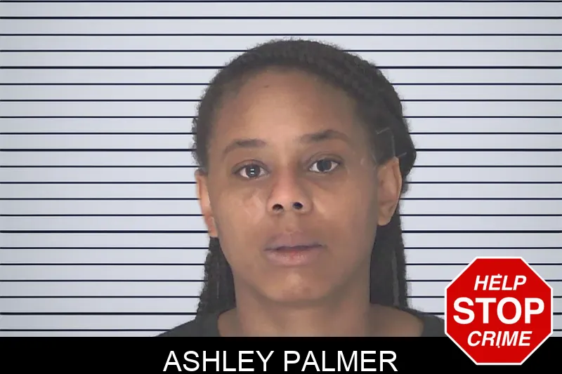 Ashley Palmer Mugshots